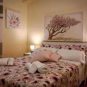 Balconcino Sugli Ulivi Bed & Breakfast